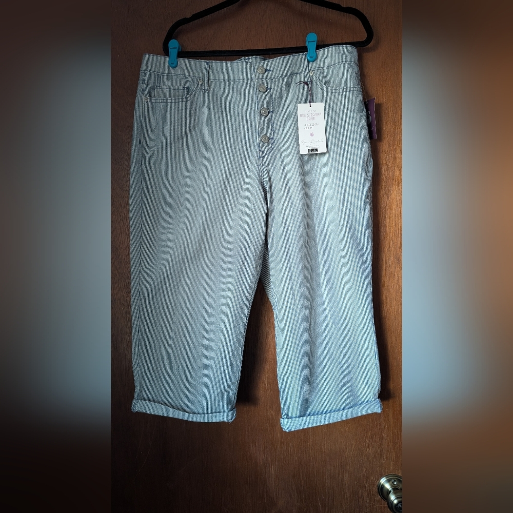 Light Blue Cropped Pants